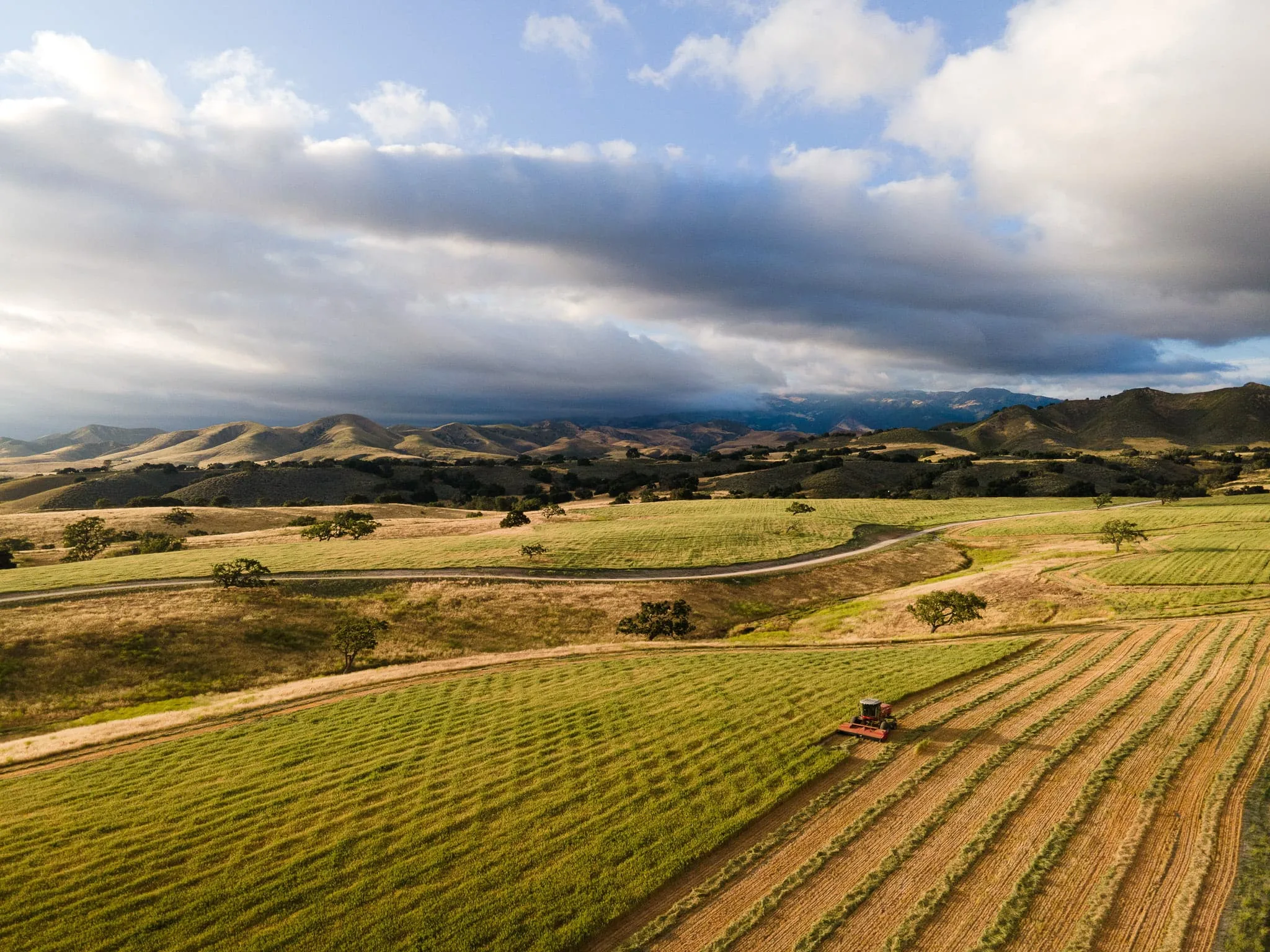 Aerial view of Santa Ynez ranch land being harvested