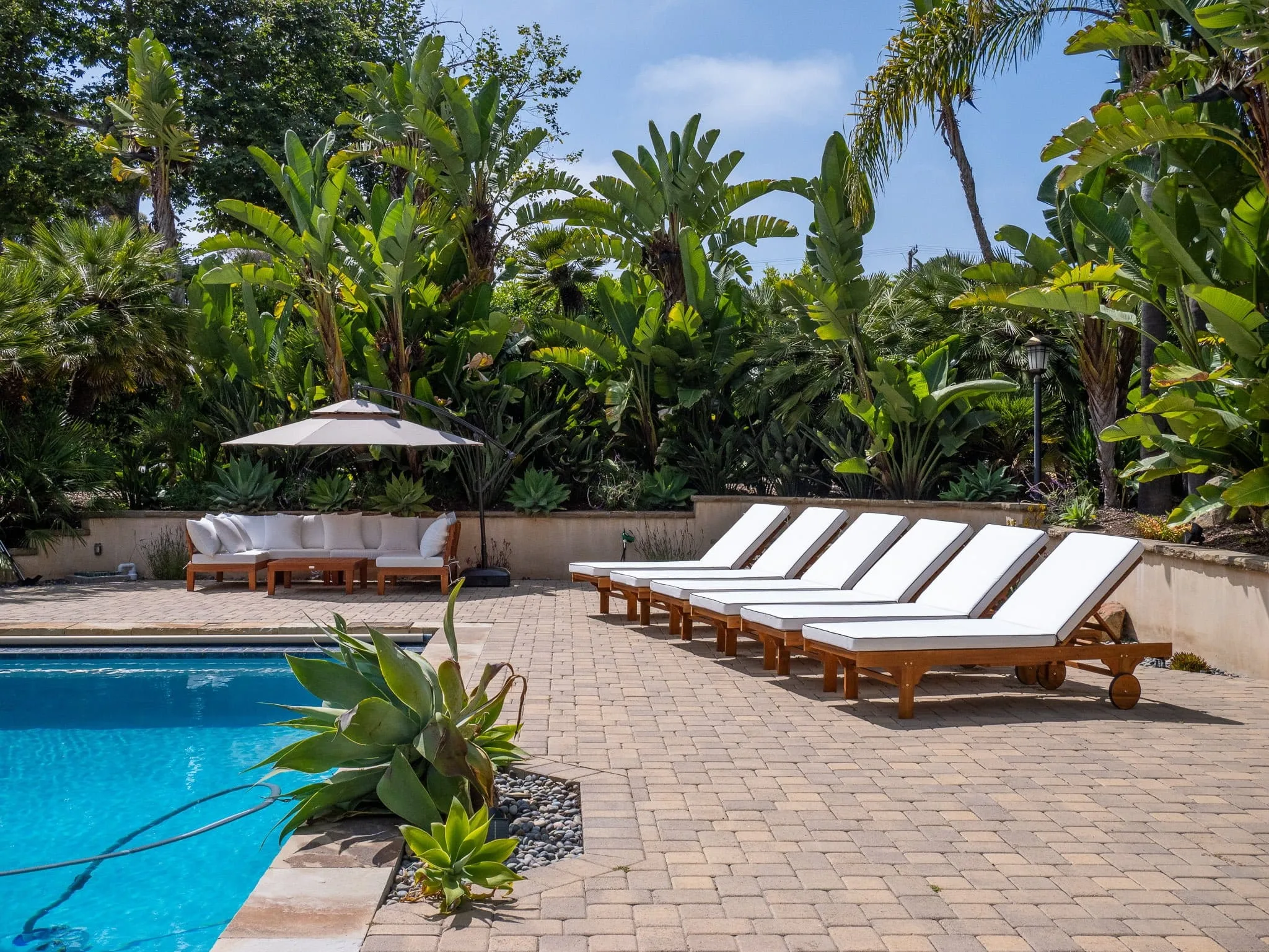Montecito backyard with a pool, lounge chairs, and mature garden