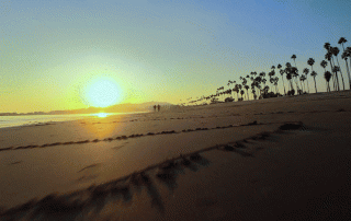 Sunset at Santa Barbara Pier with palm trees lining the beach, highlighting services by Roto Flight like Santa Barbara Real Estate Photographer, FPV Drone Tours, and Real Estate Drone Photography